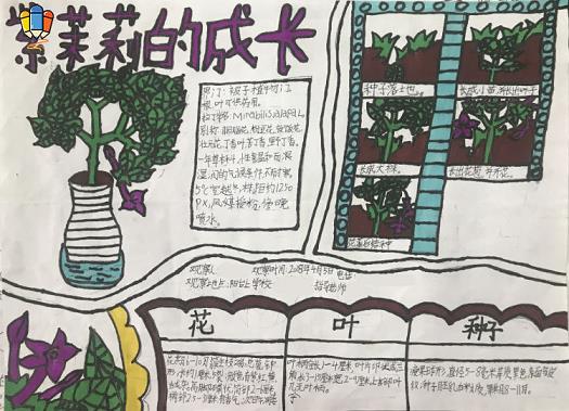 心情好的个性签名，米芽语轩签名集
