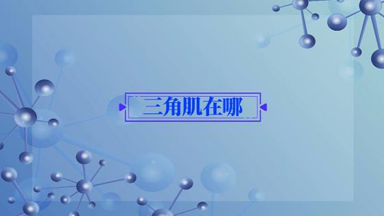 2022年最新唯美签名，米芽语轩签名集
