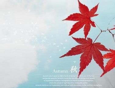 心情好的签名，米芽语轩签名集