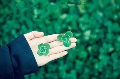 暗藏表白的个性签名，米芽语轩签名集