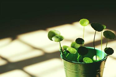 关于吃醋的个性签名，米芽语轩签名集